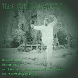 Tai Chi music by a Zen master.